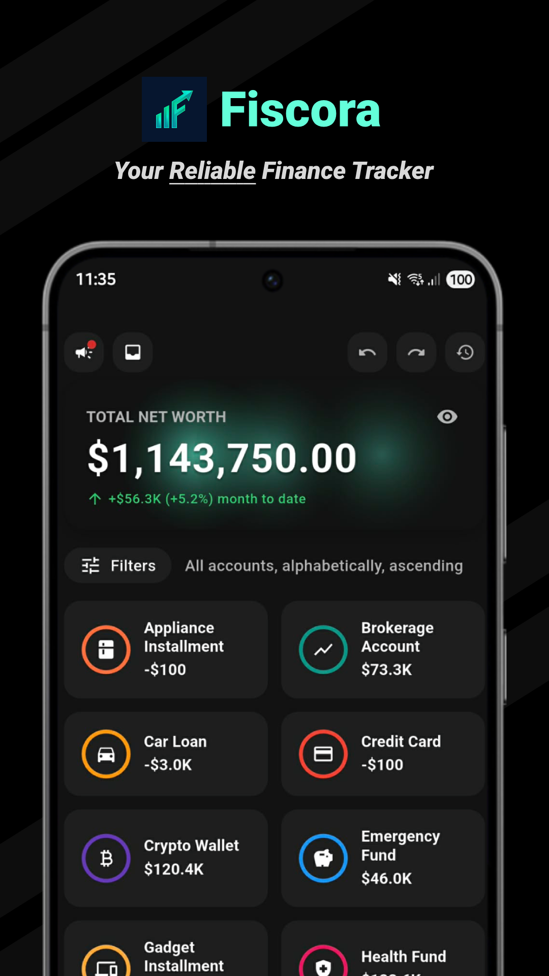Fiscora home screen showing net worth, filters, and account cards