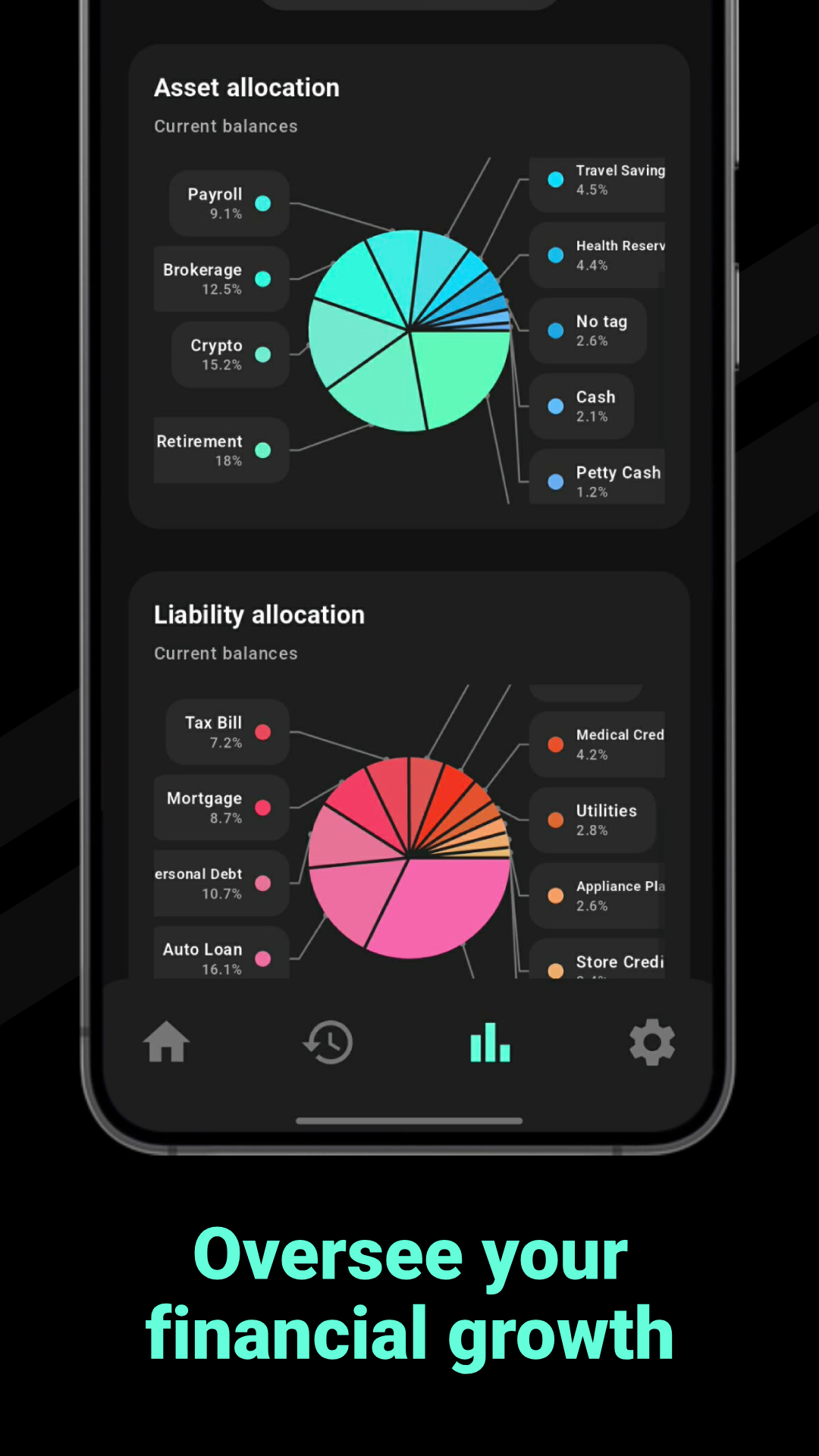 Fiscora portfolio screen showing asset allocation and liability allocation charts